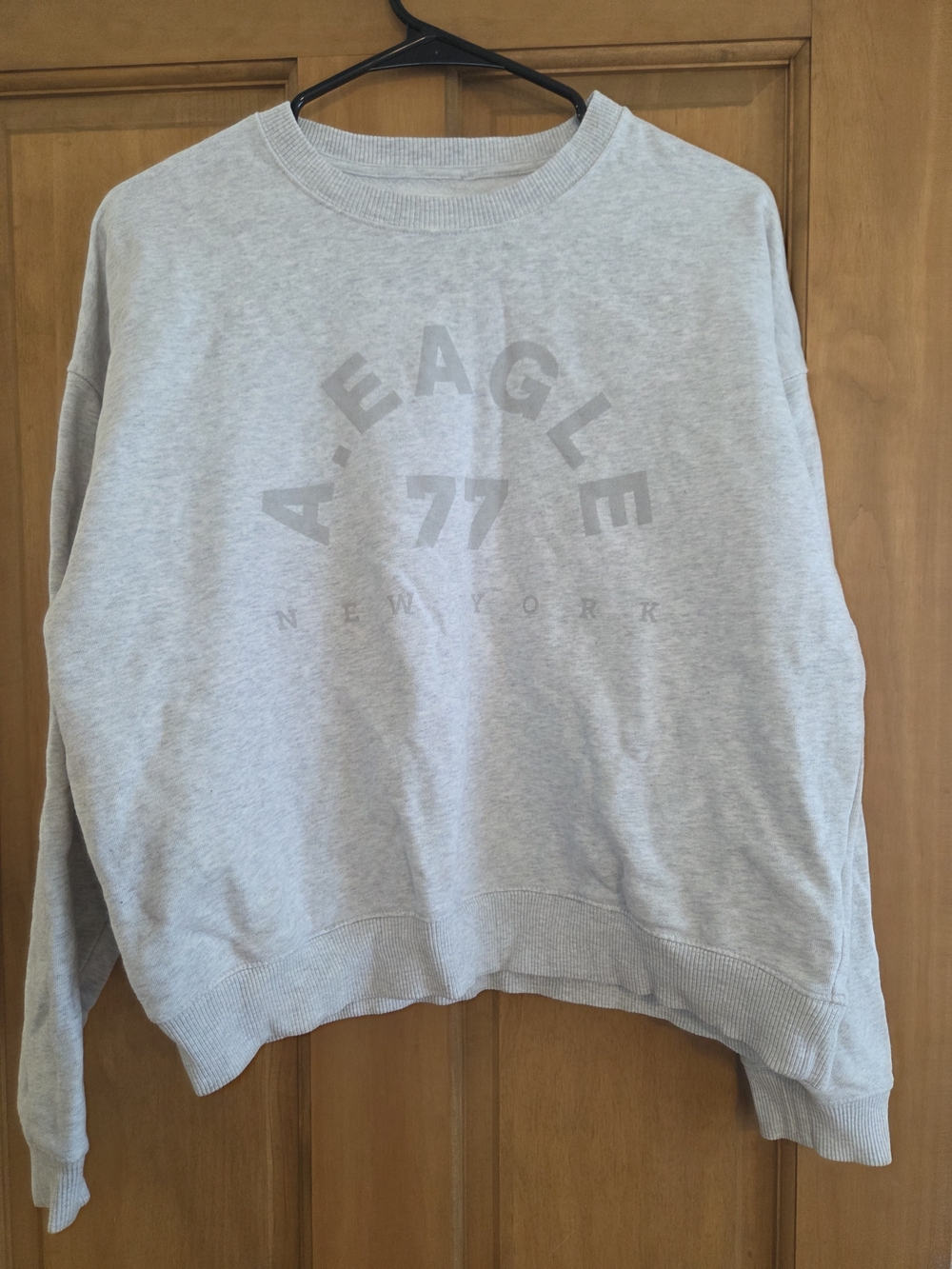 American Eagle Outfitters Light Gray Crewneck Sweatshirt with Subtle Logo